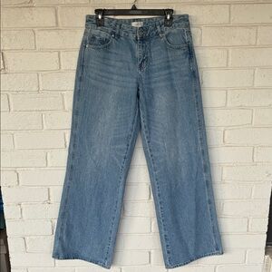 Pacsun Casey Low Rise Baggy Jeans 27